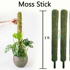 Moss Sticks